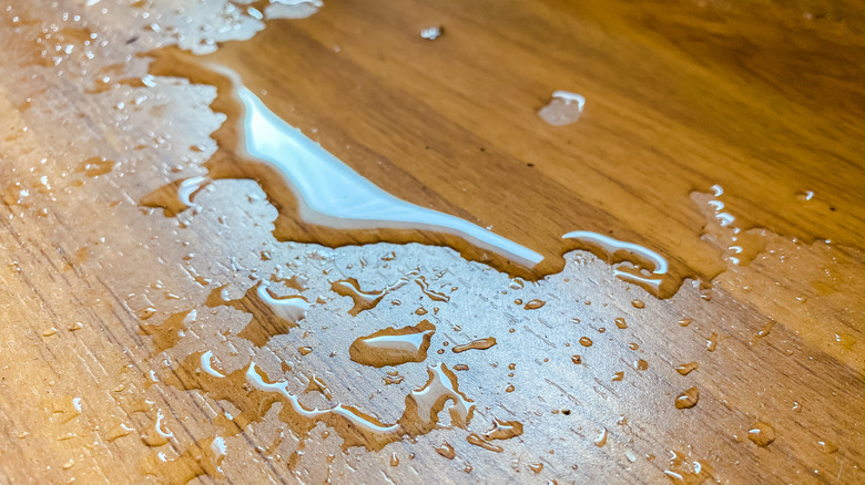 A puddle of water on a hardwood floor