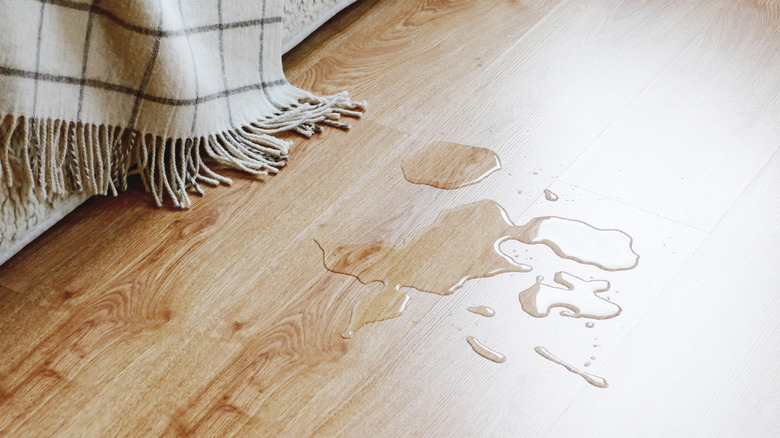 A puddle of water on a light wood floor near furniture