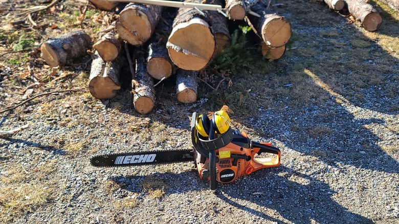 An Echo chainsaw next to some sawed logs.