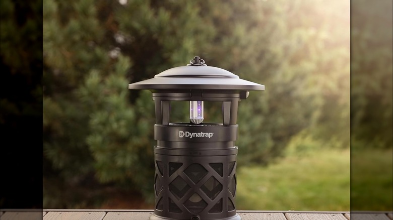 Stock photo of the Dynatrap device