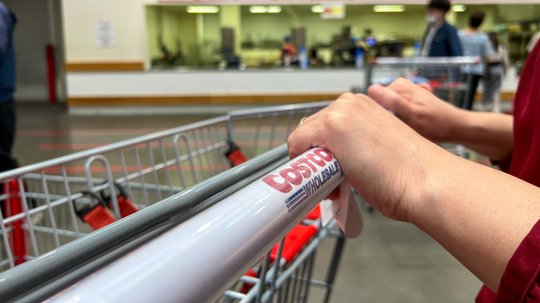 Close-up of a person's hands pushing a Costco shopping cart.