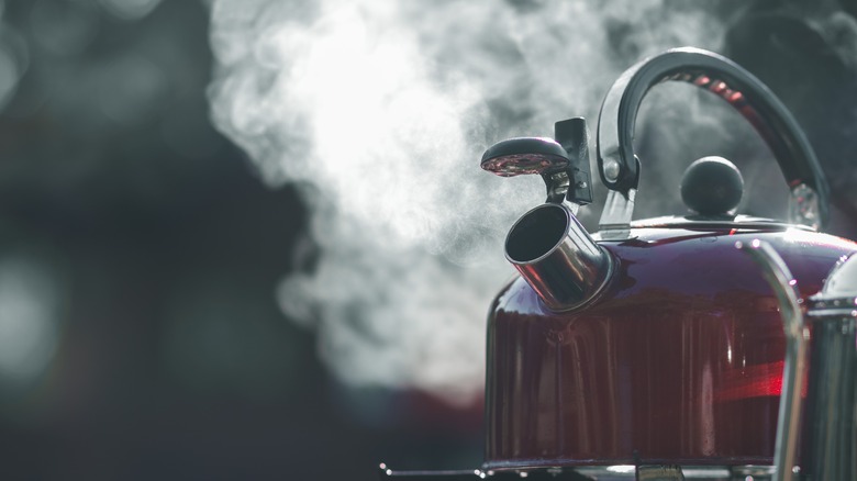 hot water kettle