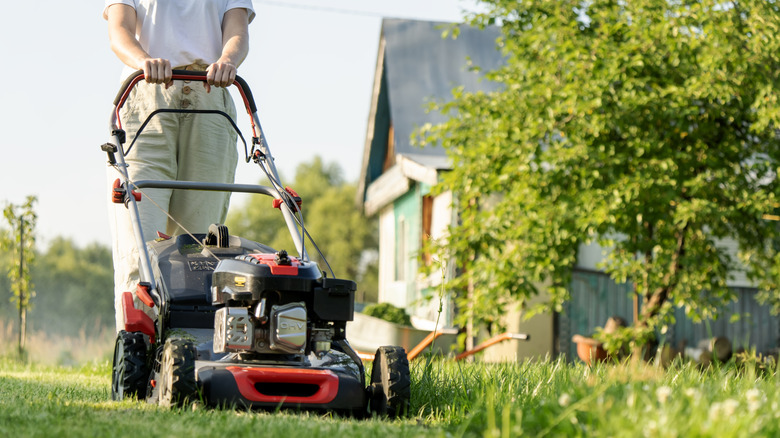 Person mowing lawn with self-propelled lawn mower.