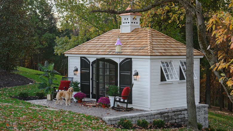 she shed with a golden retriever dog looking out on a beautiful fall day