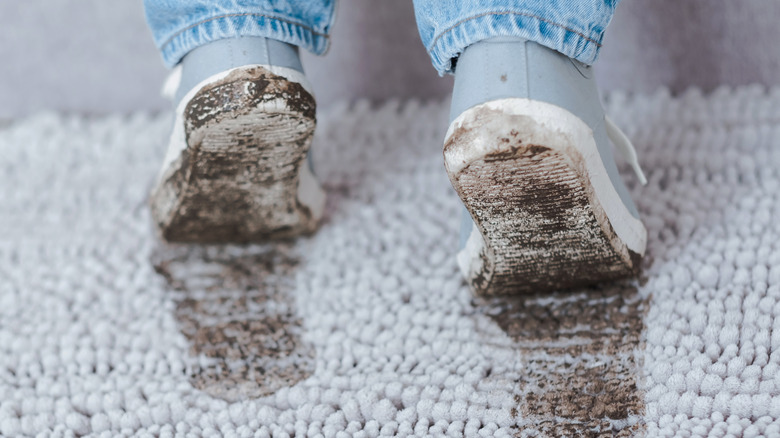 A closeup of a pair of feet leaving muddy footprints on a gray carpet.