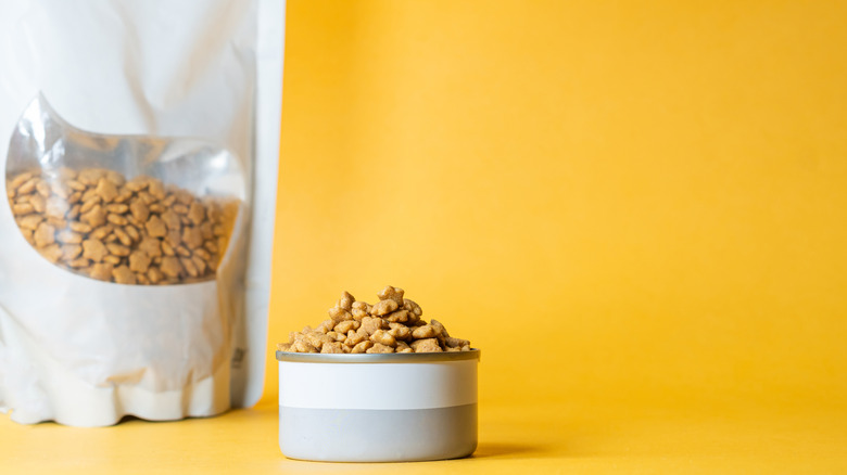 A bowl filled with dry pet food next to a resealable bag on a yellow background.