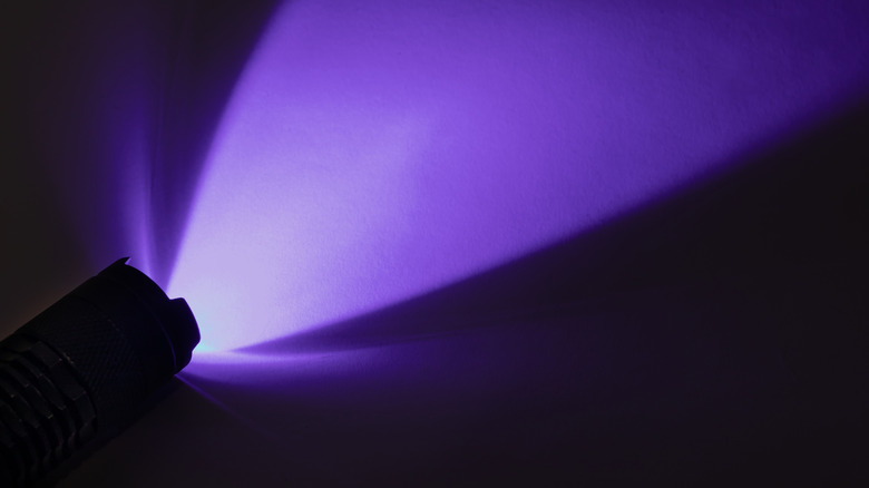 Purple light from a small UV flashlight