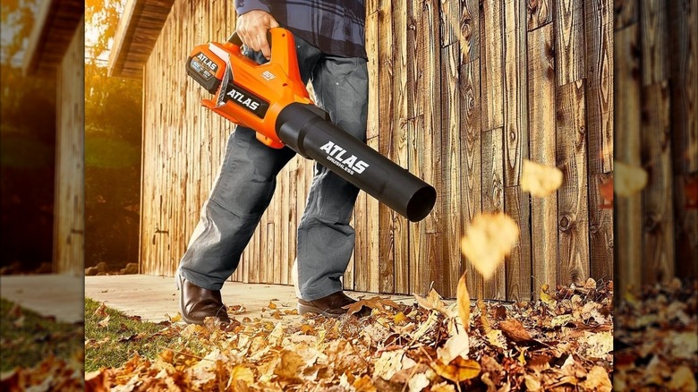 Using the Harbor Freight Atlas 80V blower to remove leaves from a sidewalk.