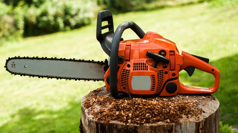A gas-powered chainsaw sitting on a stump surrounded by wood shavings.