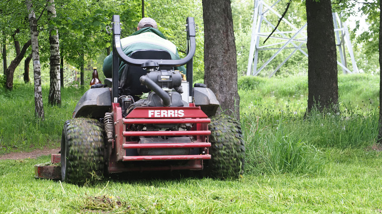 Ferris lawn mower photographed from back