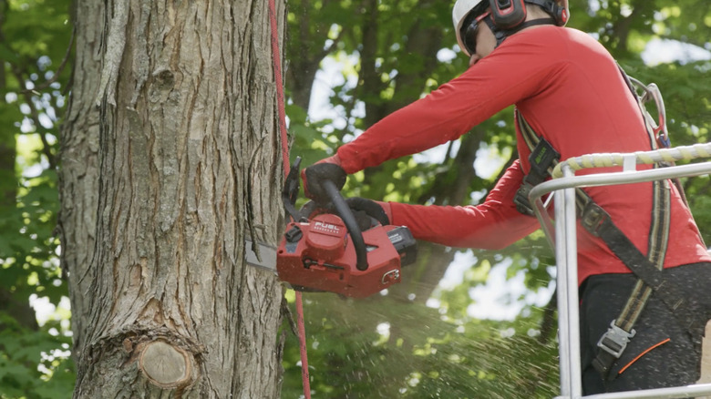 man using Milwaukee chainsaw