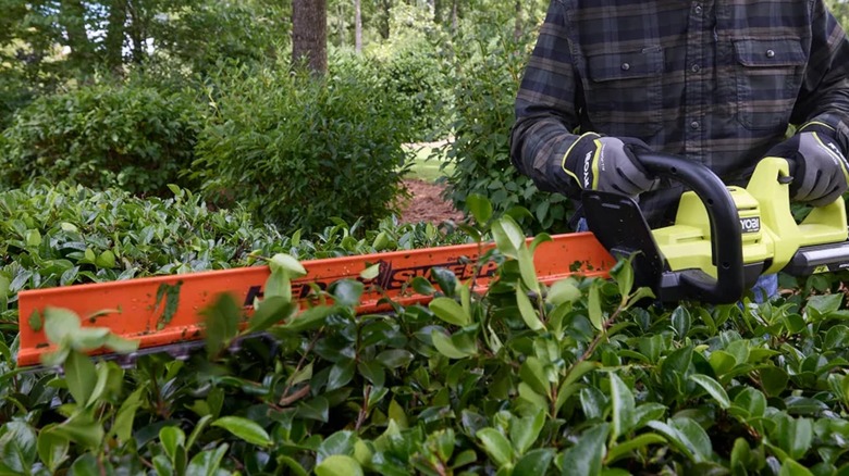 A person using a Ryobi hedge trimmer.