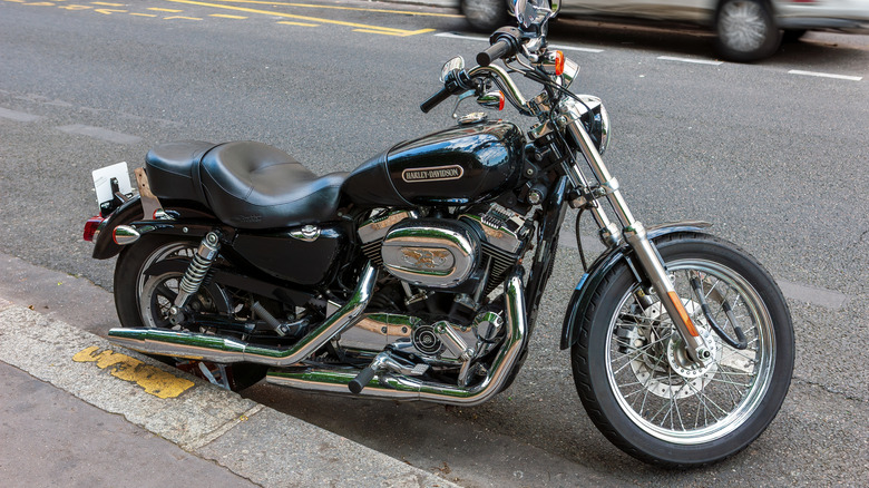 A black Harley-Davidson Iron 883 Motorcycle beside a road