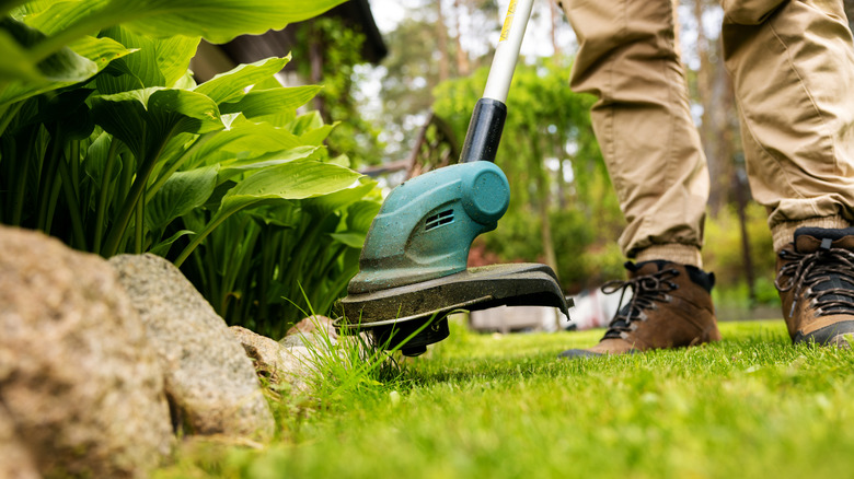 Close-up of weed eater trimming tough weeds.
