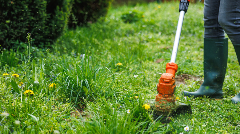 Close-up of weed eater trimming weeds.