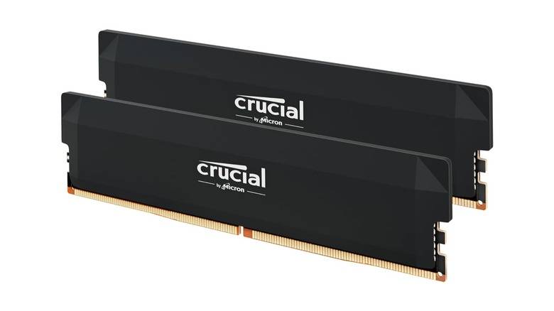 Crucial RAM sticks on display