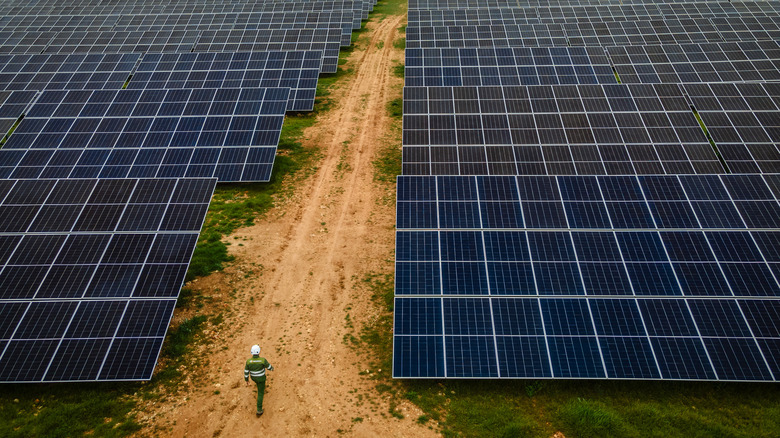person walking through solar panels