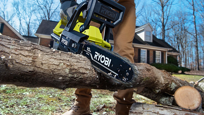 A person sawing a tree limb