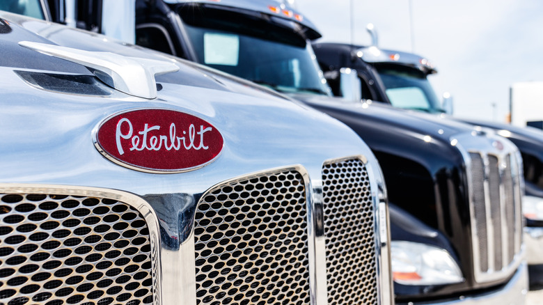 Close-up of Peterbilt logo on a semi-truck with other Peterbilt semi-trucks in the background