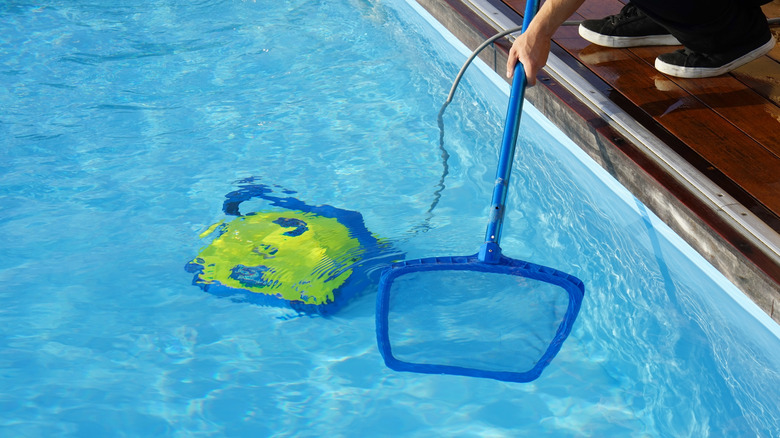 A robot pool cleaner and a leaf skimmer.