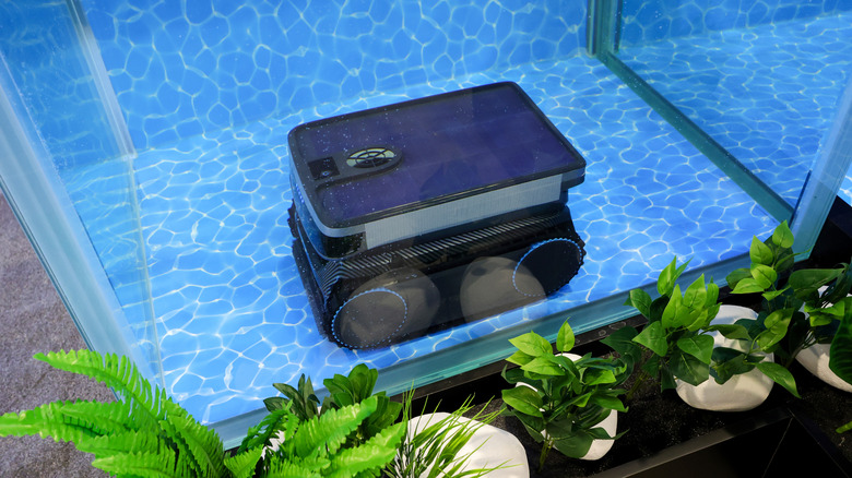 A robot pool cleaner in a tank, cleaning the bottom.