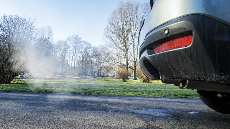 Close-up of an idling vehicle on a road with grass and trees in the background