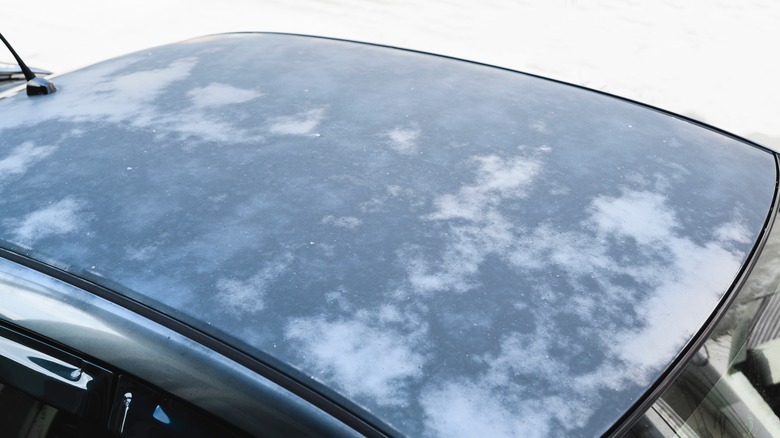 Faded paint on car roof