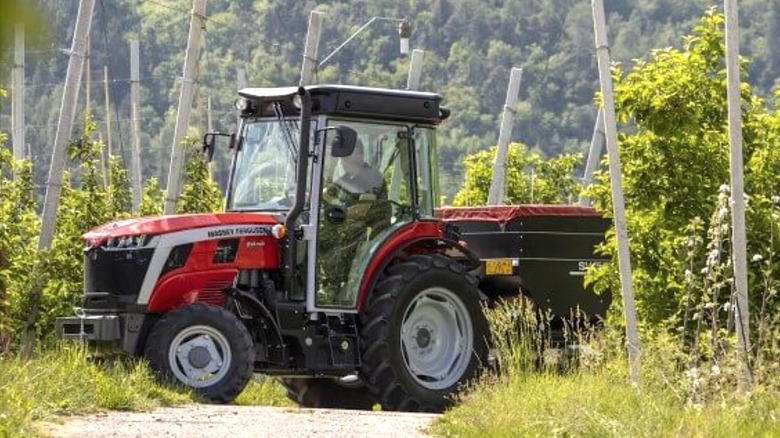 Person driving a Massey Ferguson tractor in a field