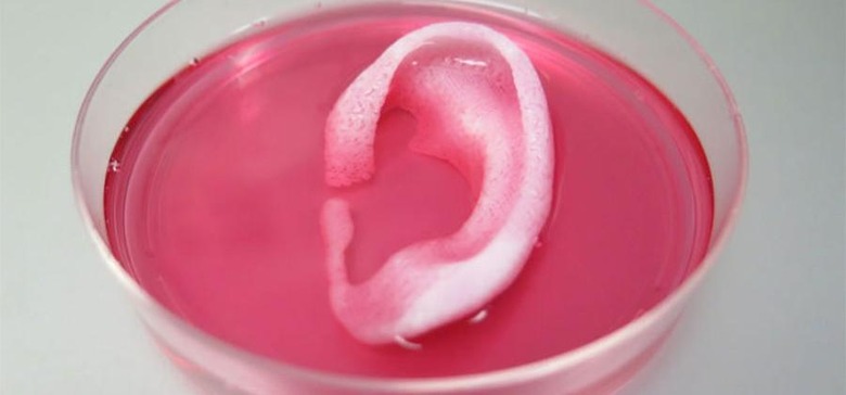 human-ear-print-1