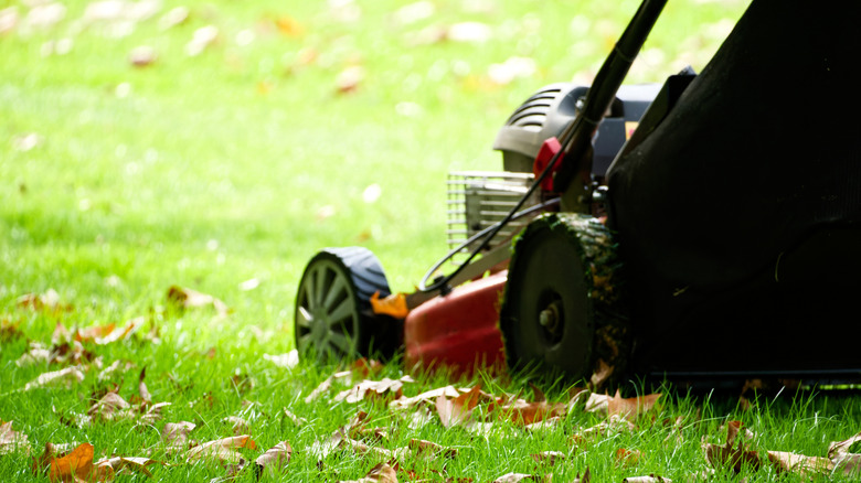 Close-up of lawn mower on lawn.