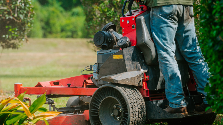 Person standing on stand-on mower and mowing around bushes.