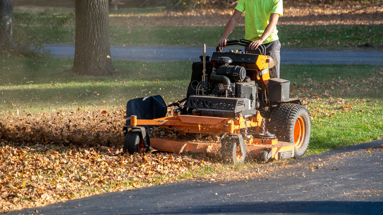 Person standing on stand-on mower and mowing lawn.