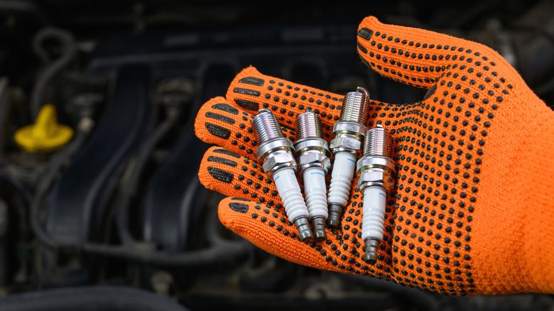 Close-up of a hand in an orange glove holding four new spark plugs over a vehicle's engine compartment