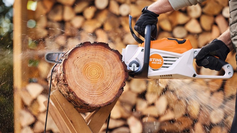 Close-up of worker using a Stihl MSA 80C to cut a log on a stand