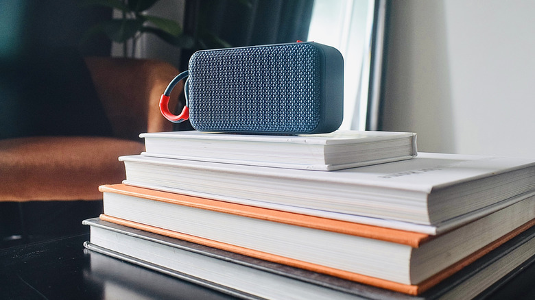 A small 3D printed Bluetooth speaker in a garden.
