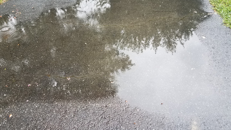 standing water on a driveway