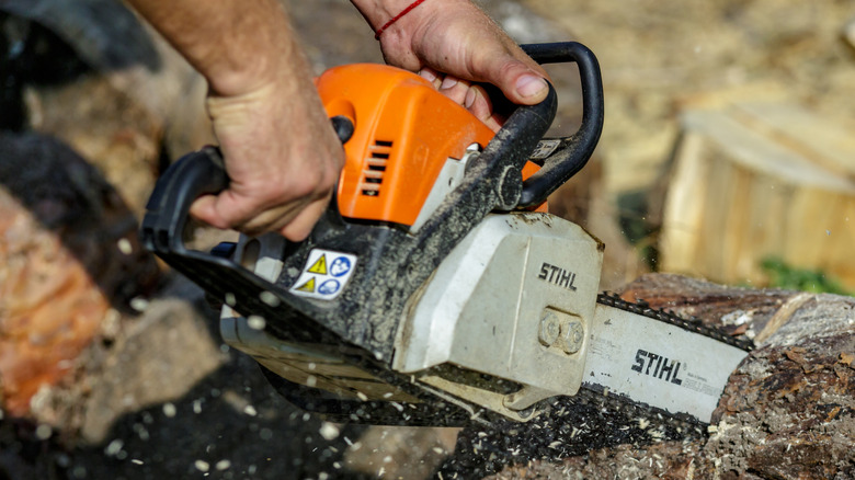 A person cutting a tree with a Stihl chainsaw.