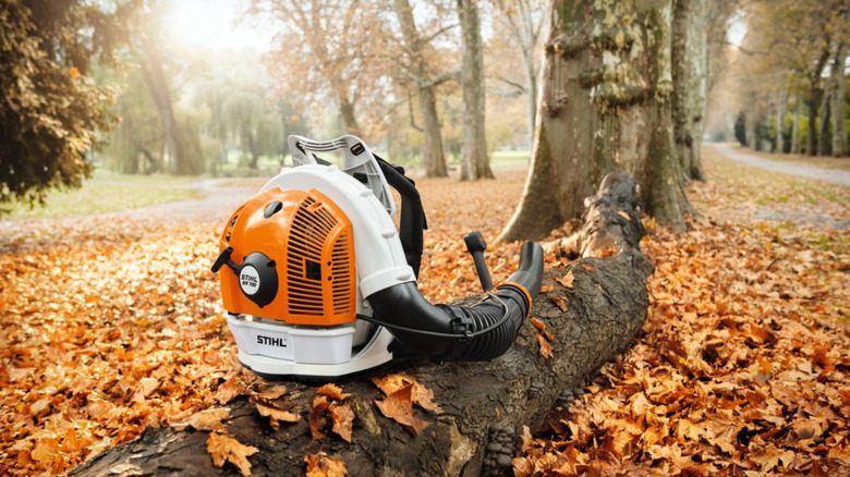 A BR 700 Gasoline Backpack Blower sitting on a log in a forest.