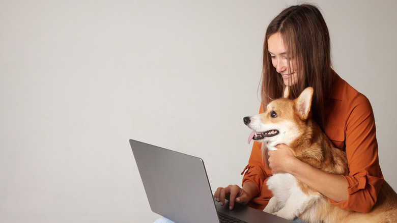 A woman with long brown hair looking at her laptop while holding a Corgi