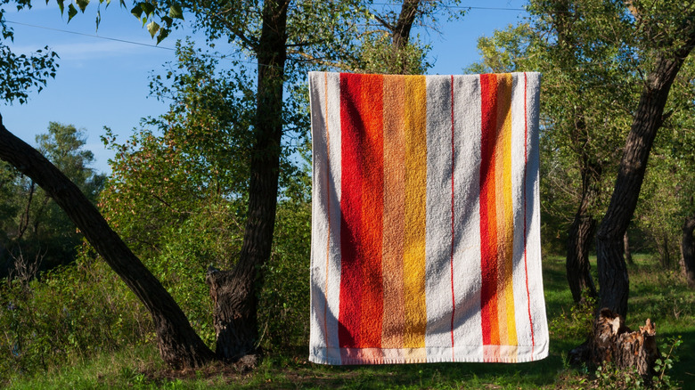 A red and orange striped towel hanging outdoors near several trees