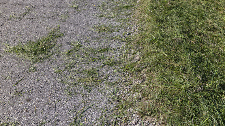Grass clippings left in the road