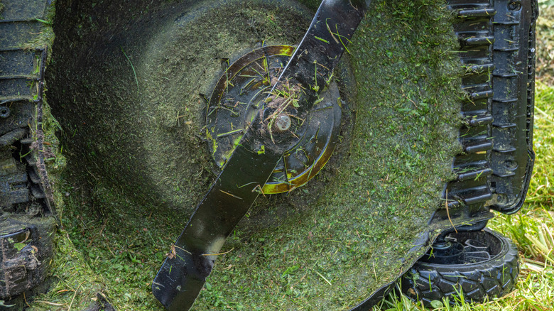 The underside of a lawn mower showing the blade