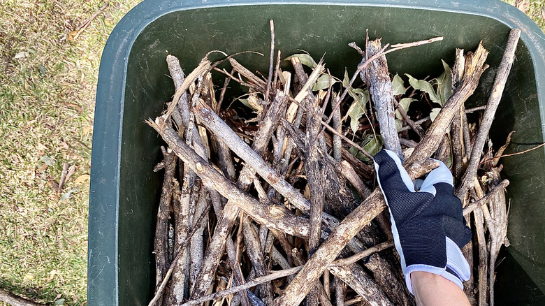 A container of yard debris in the form of fallen branches and sticks