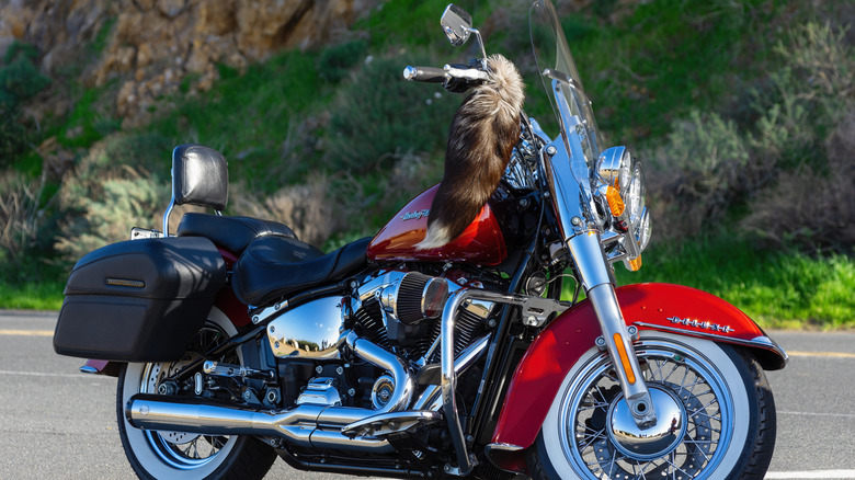 Classic Harley-Davidson cruiser motorcycle parked in parking lot.