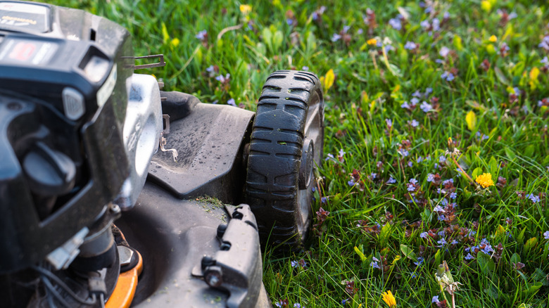 A lawn mower in weed-filled grass.