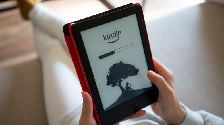 person reading a Kindle