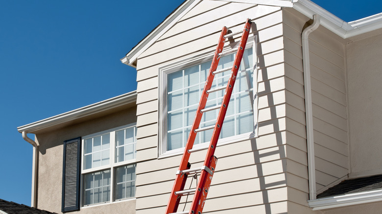 An extension ladder leaning against a house.
