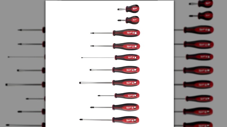 Milwaukee screwdriver set on white background