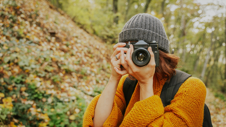 A person using a vintage camera outside in the woods