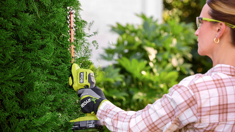 New Ryobi compact brushless shear/shrubber tool being used by woman